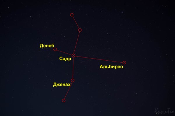 Мерцающий лебедь