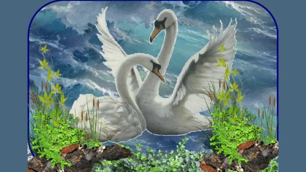 Созвездие лебедь самая яркая звезда