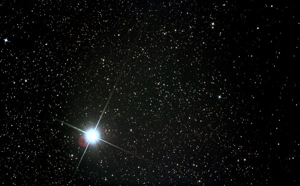 61 Cygni