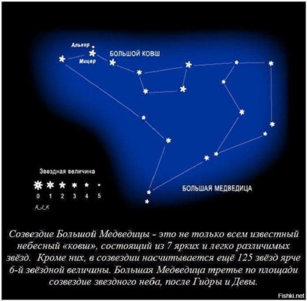 Большая Медведица Созвездие самая яркая звезда