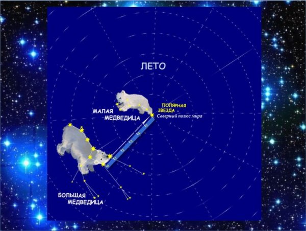 Созвездие большой и малой медведицы и Полярная звезда