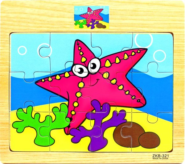 Пазл морская звезда