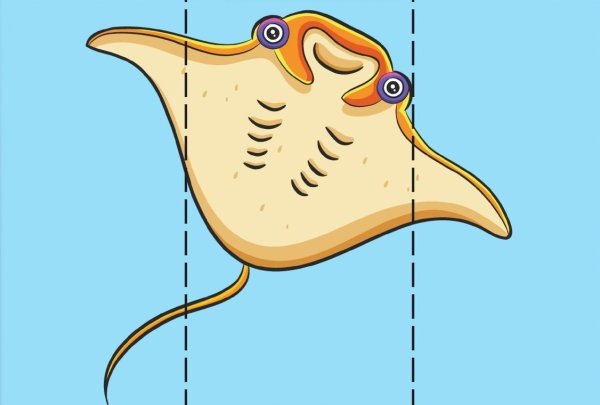 Раскраска звезда пятиконечная