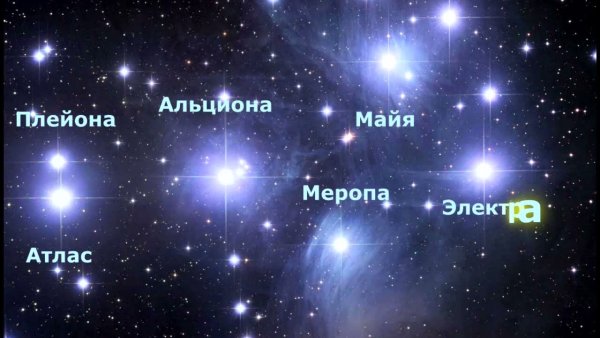 Созвездие Вега на карте звездного неба