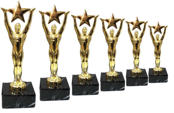 Кубок Золотая звезда