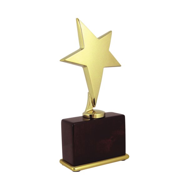 Статуэтка звезда вектор