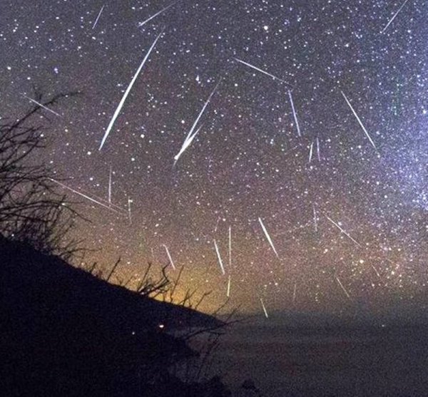 Кот и звезды