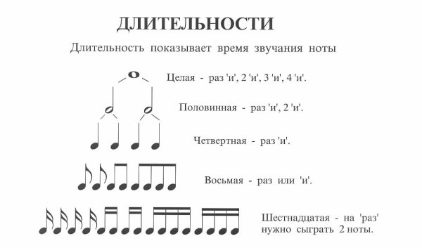 Таблица нот целая, Половинная, четвертная, восьмая