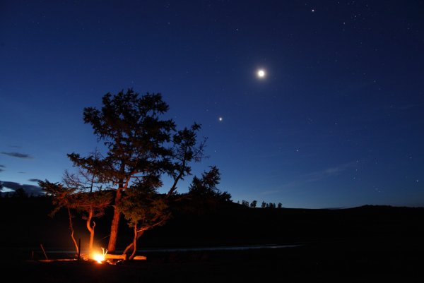 Ночь звезды