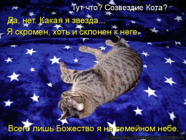 Звезда прикольная