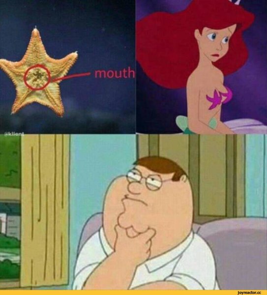 Звезда я звезда