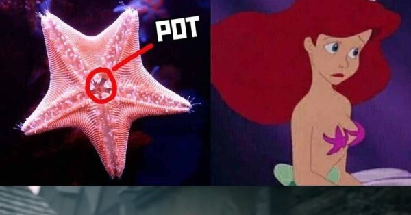 Звезда прикольная