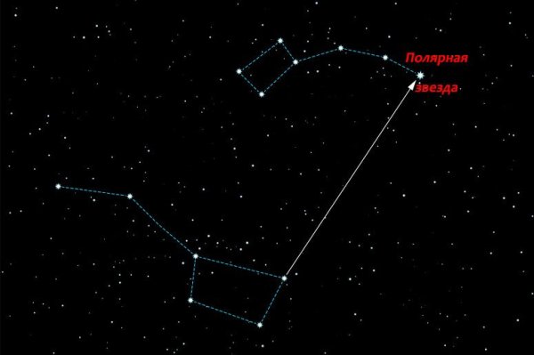 Большой пёс с полярной звездой и Сириусом
