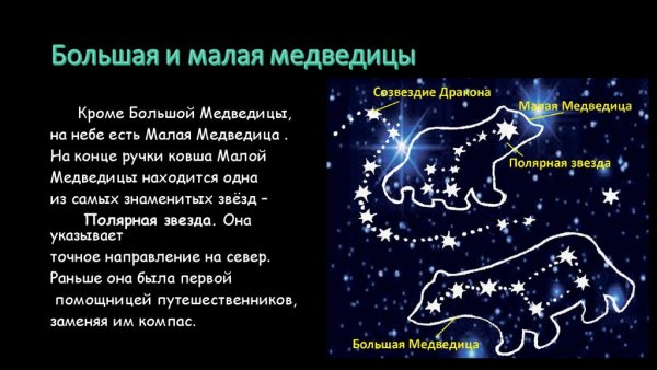 Созвездие малой медведицы схема окружающий мир