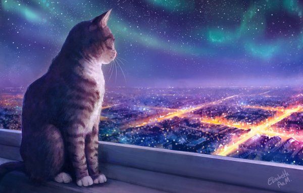 Коты Воители Беззвездная ночь