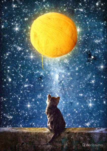 Ночь Луна кот