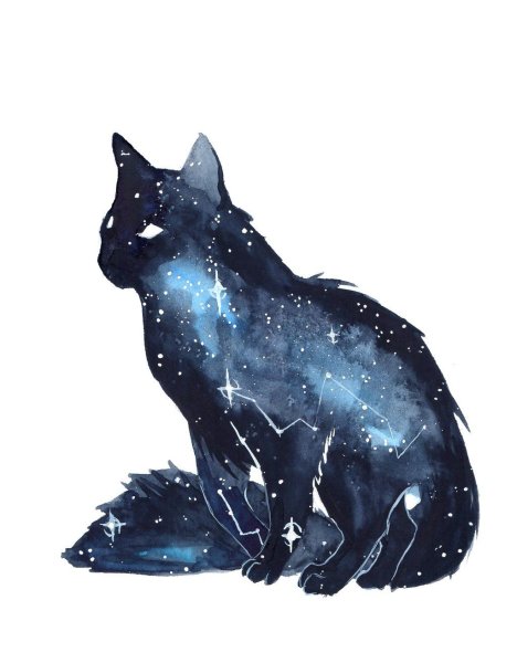 Кот в космосе