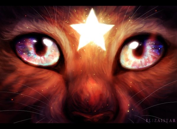 Коты Воители Фиалковая звезда