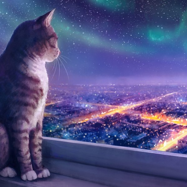 Кот под луной