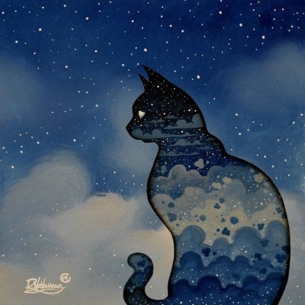 Кошка Луна