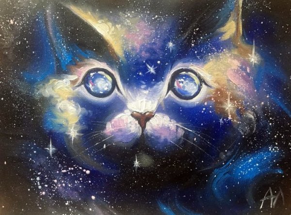 Кот ночью