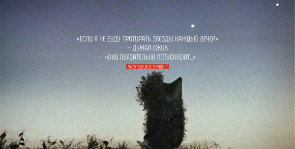 Ежик ночью