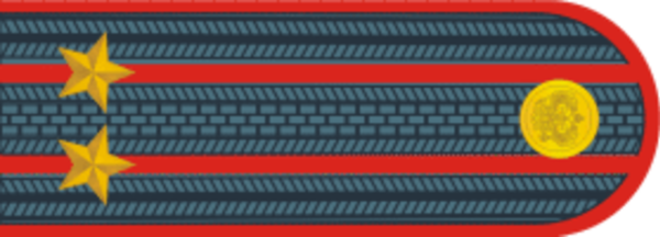 Погоны полковника МВД рисунок