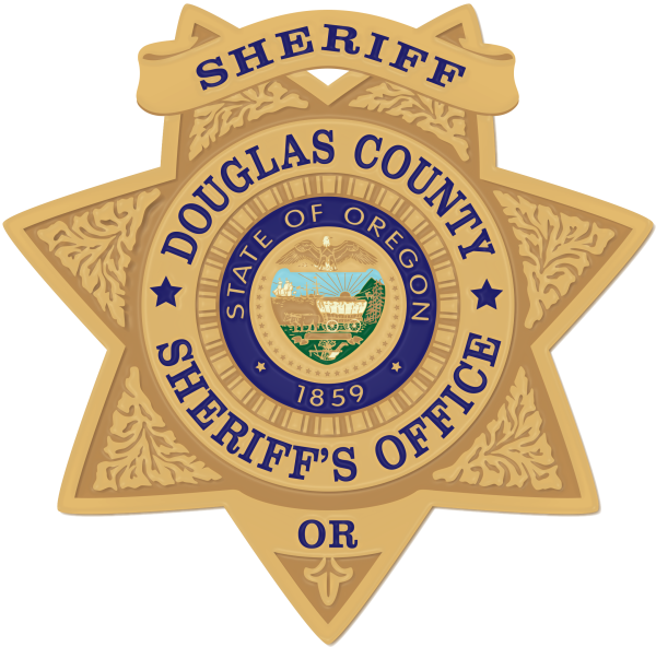 Полицейская звезда США