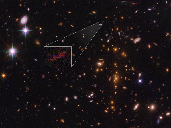 Галактика NGC 55
