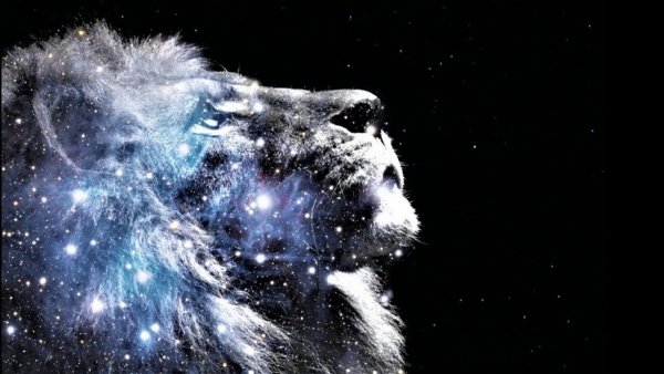 Лев на Звездном небе