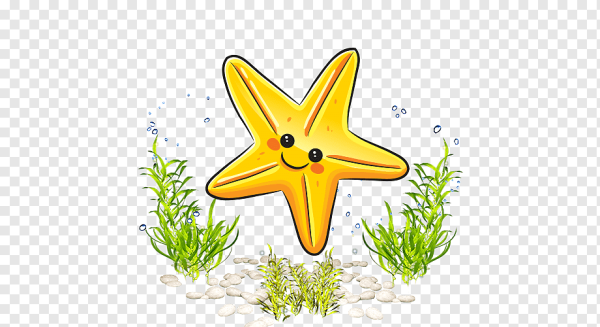 Морская звезда мультяшная