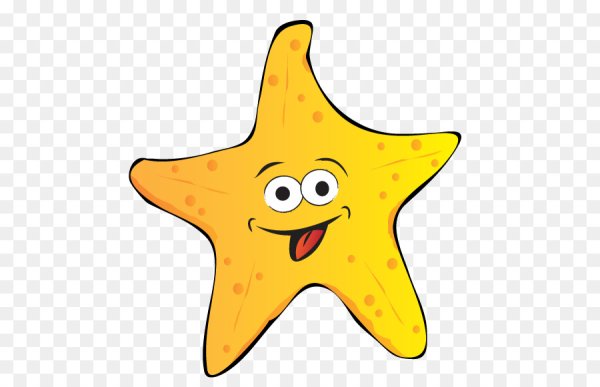 Морская Звездочка