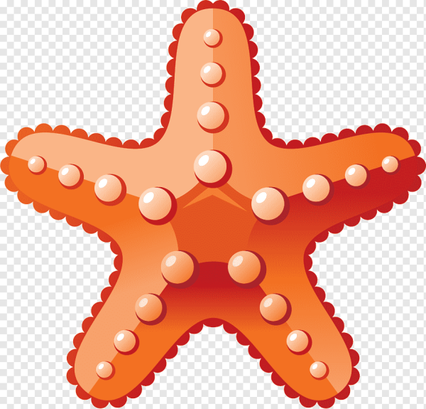 Морская звезда мультяшное