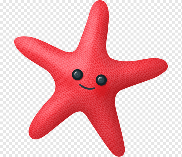 Морская звезда