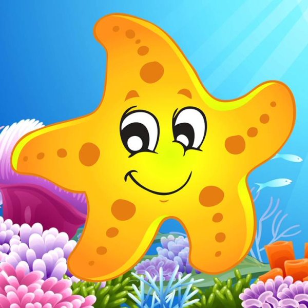 Группа морские звездочки