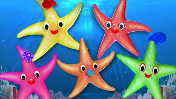 Морская звезда для детей