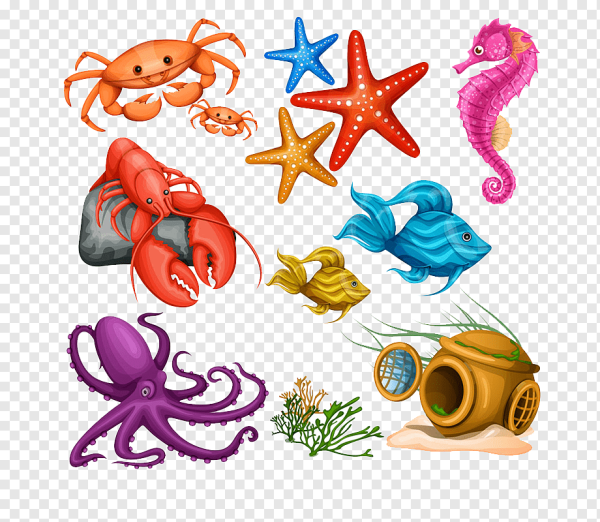 Морские обитатели для детей