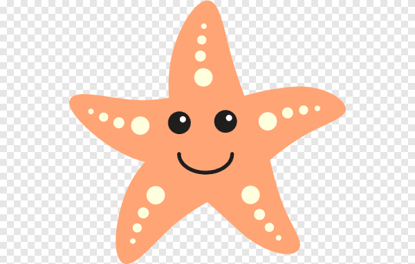 Морская звезда