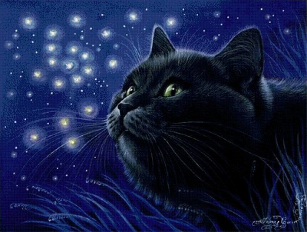 Черная кошка и Луна