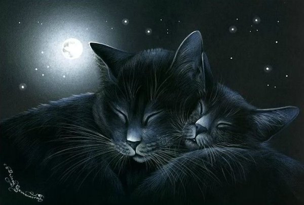 Кошка под луной