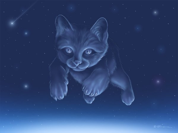 Беззвездное племя коты Воители