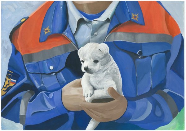 Звезда спасения МЧС