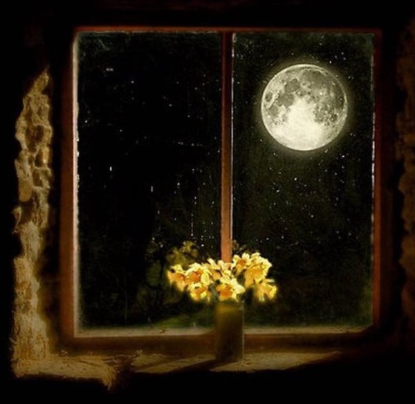 Лунный свет в окне