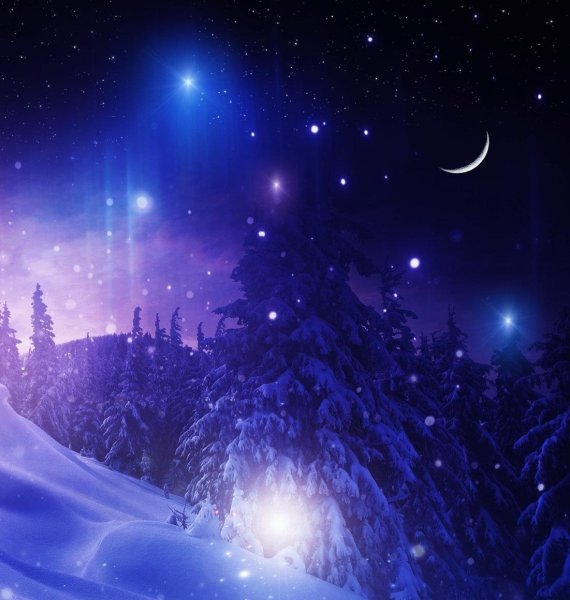 Зима звезды