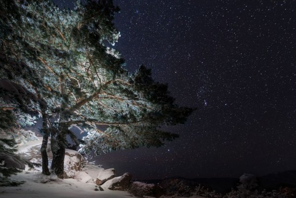 Зимнее ночное небо