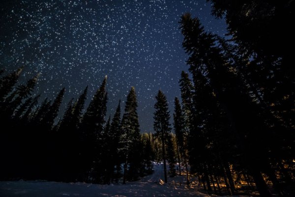 Звездное небо