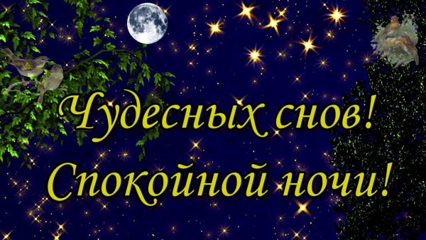 Спокойной ночи чудесных снов