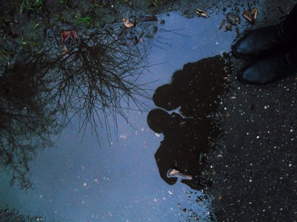 Звезды отражаются в луже
