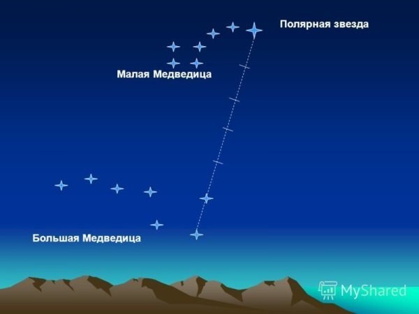 Большая Медведица малая Медведица и Полярная звезда