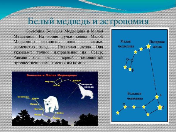 Большая и малая Медведица Полярная звезда